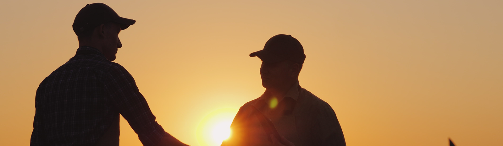 two farmers shaking hands at sunset